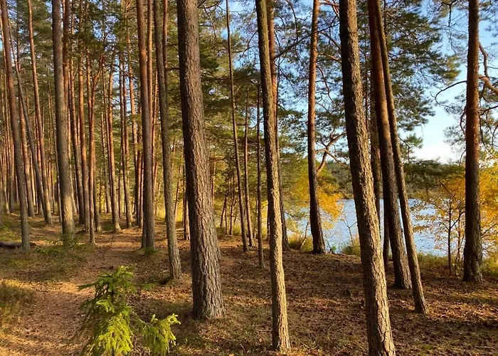 Kuelalistemaja Guest house *