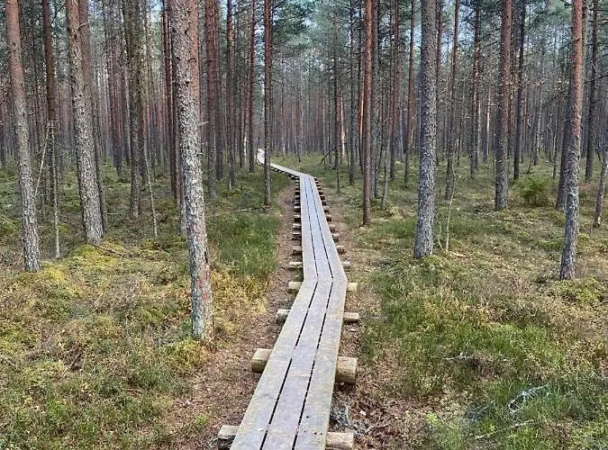 Kuelalistemaja * Vehendi