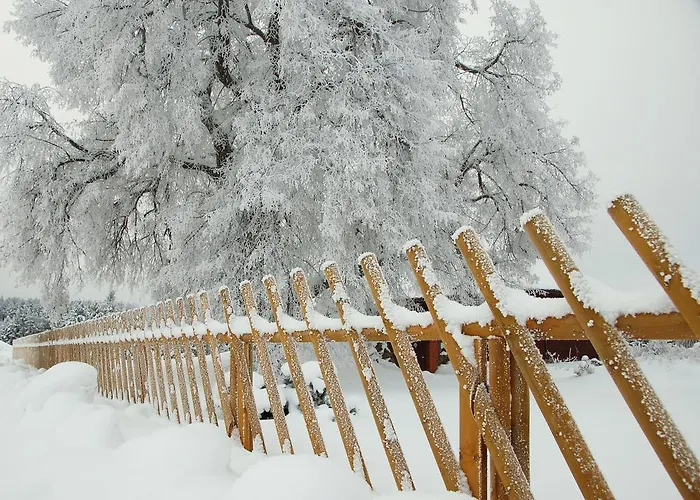 Kuelalistemaja Penzion *