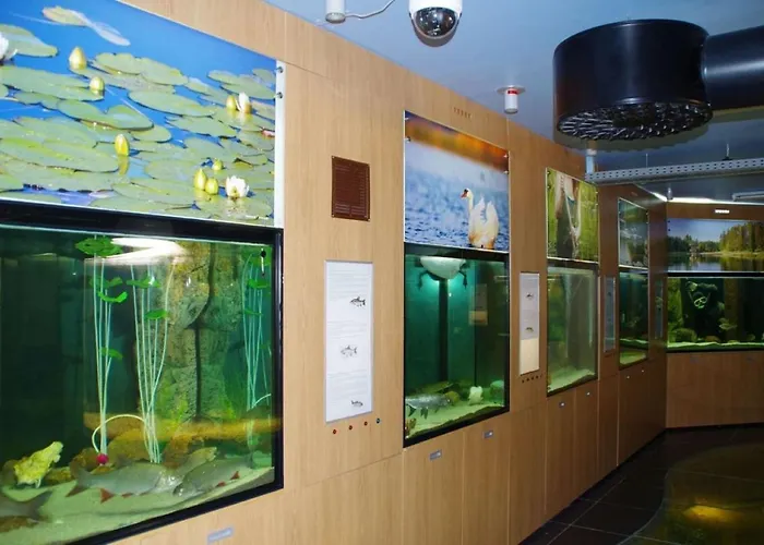 Penzion Kuelalistemaja Vehendi